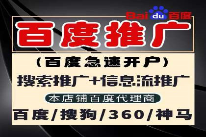 某电商平台的SEM运营托管全记录